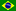 Potuguês do Brasil